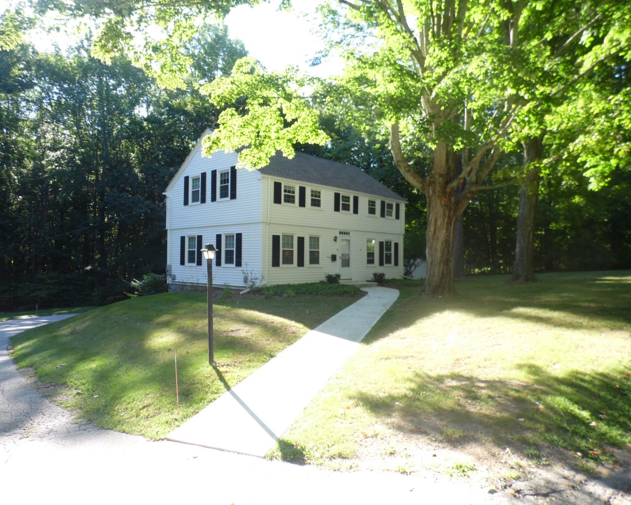 House 55 Side Elevation